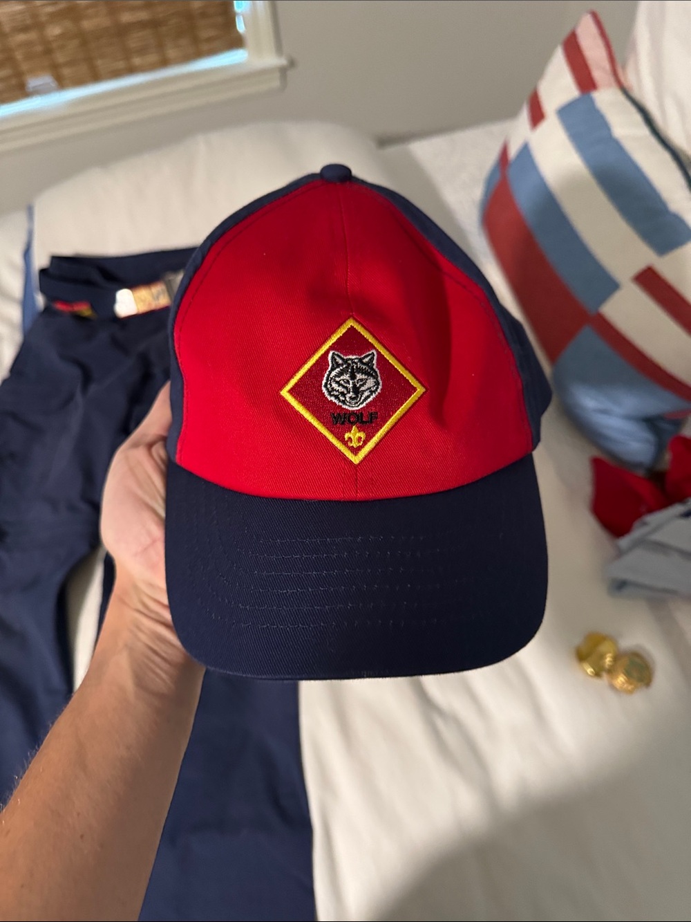 Boy Scouts Hat (wolf)